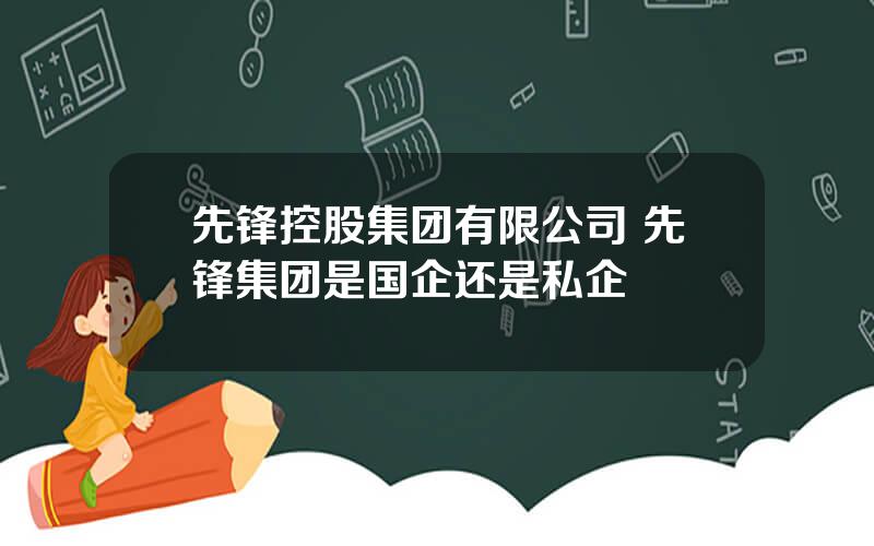 先锋控股集团有限公司 先锋集团是国企还是私企